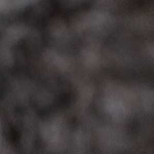 Meet your Posher, Martha